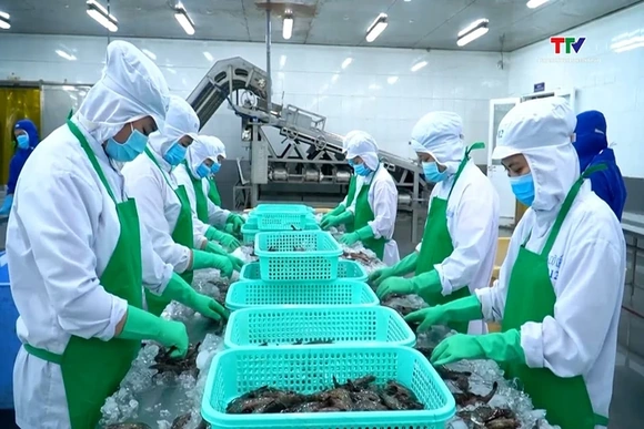 Xuất khẩu thủy sản vượt 11 tỷ USD