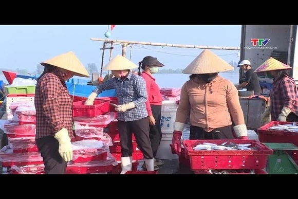 Thanh Hóa: Khai thác thủy sản năm 2025 đạt trên 140.000 tấn