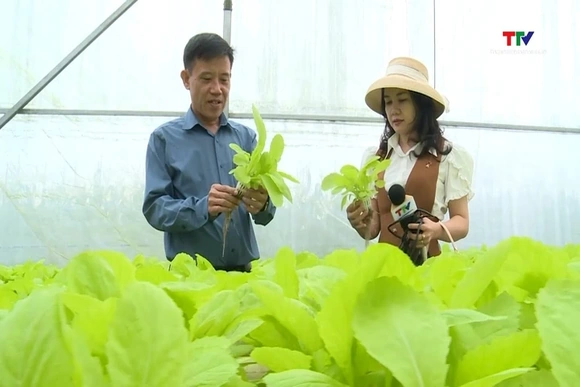 Đảm bảo nguồn cung thực phẩm an toàn cho Tết Nguyên đán