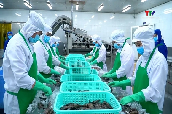Xuất khẩu tôm năm 2025 sẽ cán mốc kỷ lục 4,6 tỷ USD