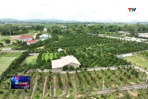 Số hóa vùng trồng, tăng sức cạnh tranh cho nông sản