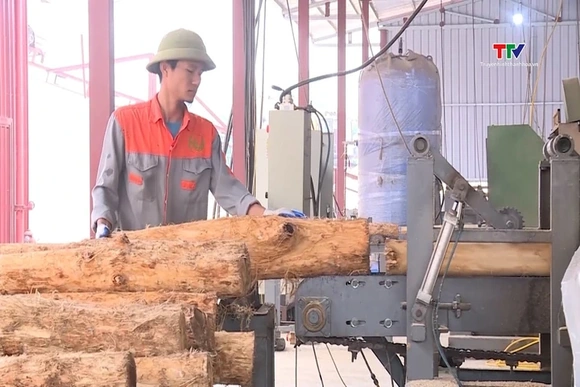 Xuất khẩu gỗ và lâm sản đạt 18,5 tỷ USD trong năm 2025