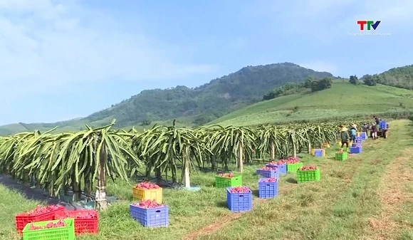 Mở rộng thị trường xuất khẩu nông sản Thanh Hóa