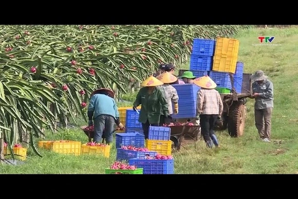 Mở rộng thị trường xuất khẩu nông sản Thanh Hóa