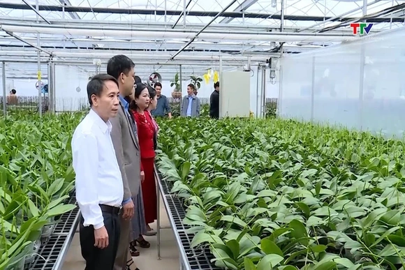 Hỗ trợ 42 mô hình Hợp tác xã nông nghiệp ứng dụng công nghệ cao