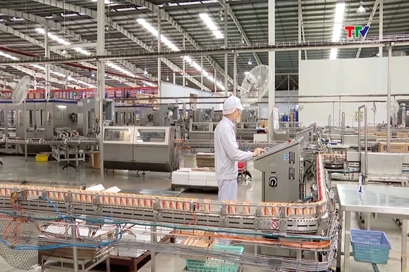 Sản lượng sữa tươi năm 2025 của Thanh Hóa đạt 72.500 tấn