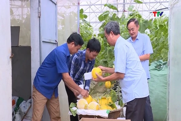 Thanh Hóa có khoảng 100 doanh nghiệp, HTX tham gia cung ứng, phân phối nông sản thực phẩm an toàn