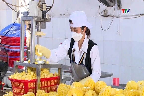 Giá trị rau quả đóng hộp xuất khẩu của Thanh Hóa  tăng 7,22% so với cùng kỳ