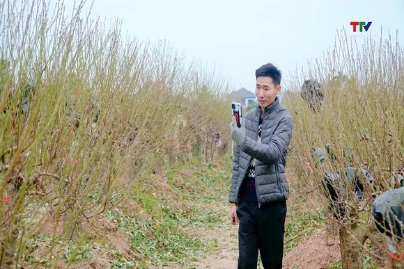 9x livstream bán đào, chốt đơn xuyên tỉnh