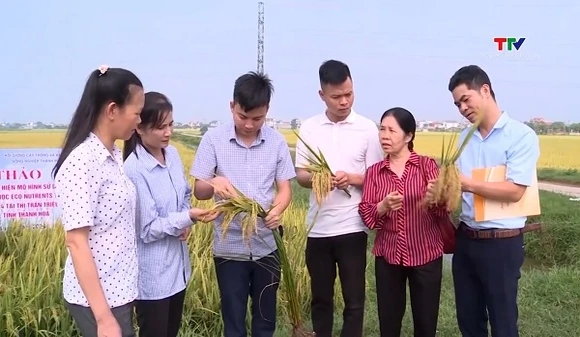 Thanh Hóa thực hiện chính sách hỗ trợ tích tụ, tập trung đất đai hơn 38 tỷ đồng