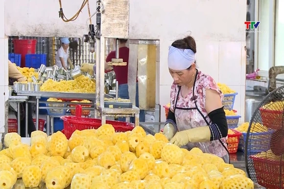 Giá trị rau quả đóng hộp xuất khẩu của Thanh Hóa  tăng 7,22% so với cùng kỳ