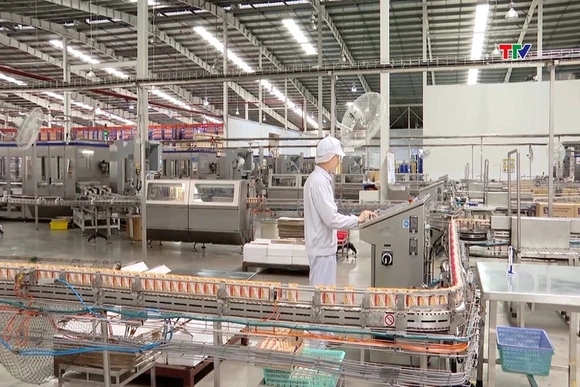 Sản lượng sữa tươi năm 2025 của Thanh Hóa đạt 72.500 tấn