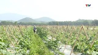 Phê duyệt đề án nâng cao an toàn thực phẩm nông nghiệp 2026 - 2030