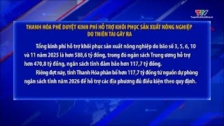 Thanh Hóa phê duyệt kinh phí hỗ trợ khôi phục sản xuất nông nghiệp do thiên tai gây ra