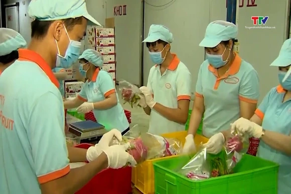 Chất lượng nông sản Việt được EU ghi nhận