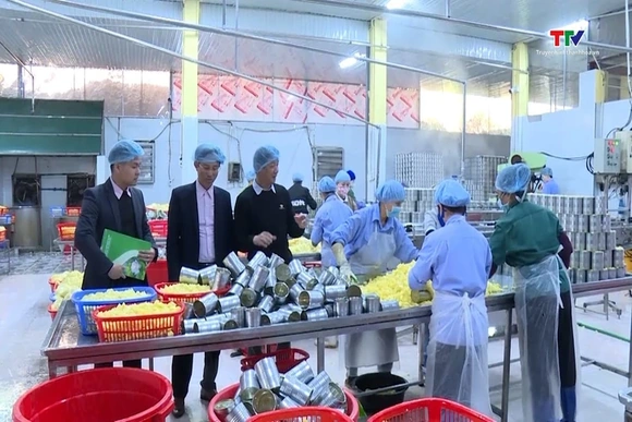 Nâng mức cho vay giải quyết việc làm đối với cơ sở sản xuất kinh doanh lên gấp 5 lần