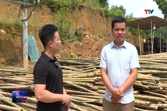 Nâng cao giá trị kinh tế rừng luồng