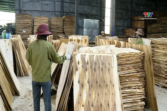 Ngành gỗ lần đầu xuất khẩu vượt mốc 17 tỷ USD