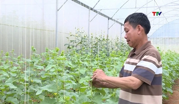 Khoa học, công nghệ, đổi mới sáng tạo và chuyển đổi số - Động lực then chốt cho phát triển