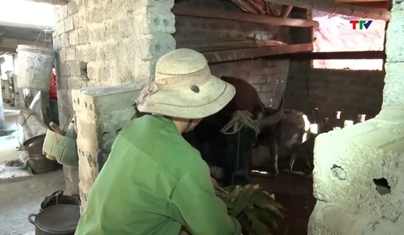 Chủ động phòng chống đói, rét cho đàn vật nuôi