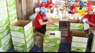 Xuất khẩu rau quả tháng 1/2026 tăng cao