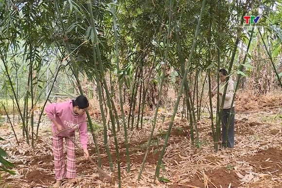 Thanh Hóa phấn đấu thành lập mới 80 Hợp tác xã nông nghiệp trong giai đoạn 2026 - 2030
