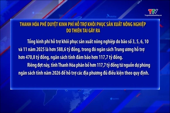 Thanh Hóa phê duyệt kinh phí hỗ trợ khôi phục sản xuất nông nghiệp do thiên tai gây ra