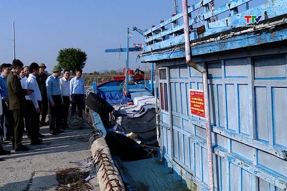 Tăng cường quản lý đội tàu, quyết liệt chống khai thác IUU