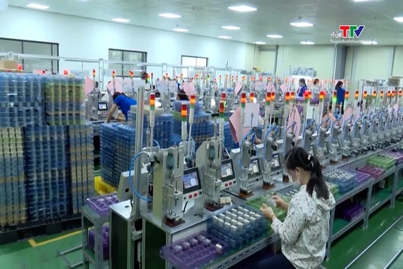 Tiếp tục hỗ trợ doanh nghiệp xử lý vướng mắc trong xuất khẩu