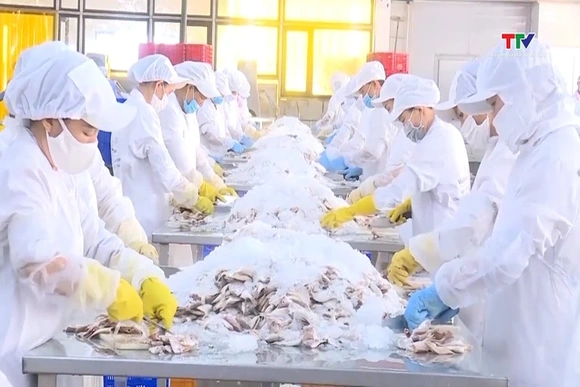Kỳ vọng của doanh nghiệp trong giai đoạn phát triển mới sau đại hội XIV