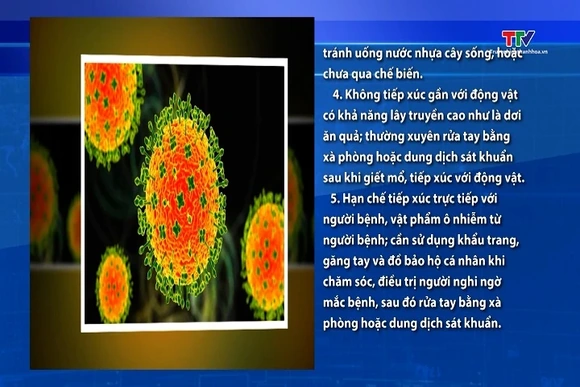 Bộ Y tế khuyến cáo 5 biện pháp phòng chống dịch bệnh do virus Nipah