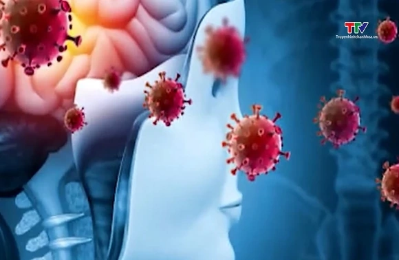 Việt Nam tăng cường công tác giám sát bệnh do virus Nipah
