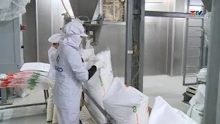 Dự báo Việt Nam dẫn đầu tăng trưởng trong khu vực Asean+3