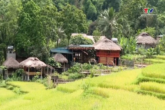 Nông dân Pù Luông làm du lịch