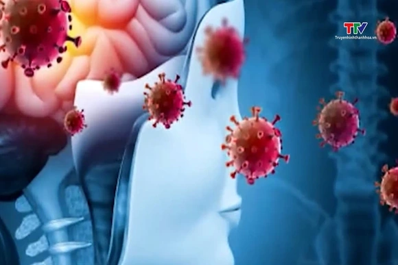 Ngành Y tế Thanh Hóa khuyến cáo phòng dịch bệnh nguy hiểm do virus Nipah