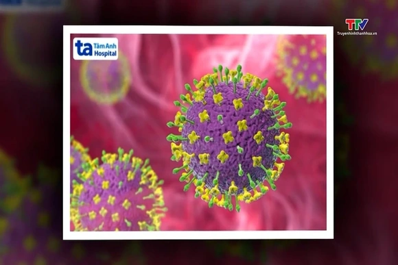 Việt Nam tăng cường công tác giám sát bệnh do virus Nipah