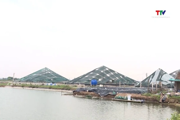 Sản lượng thủy sản giai đoạn 2021 - 2025 đạt hơn 1,06 triệu tấn