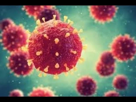 Bộ Y tế khuyến cáo 5 biện pháp phòng chống dịch bệnh do virus Nipah