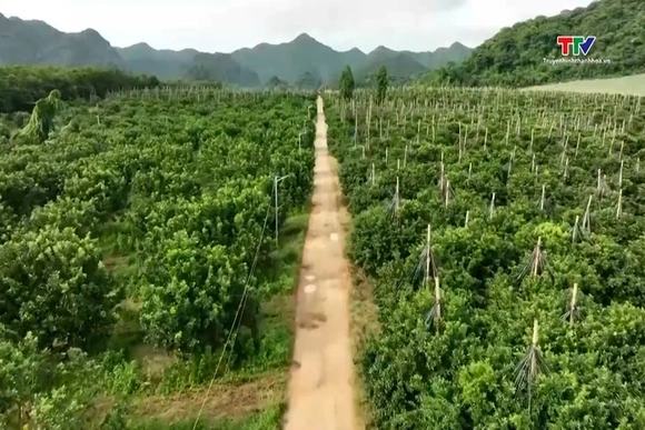 Đến năm 2030, 100% dữ liệu nông nghiệp và môi trường được số hóa, kết nối, chia sẻ đồng bộ