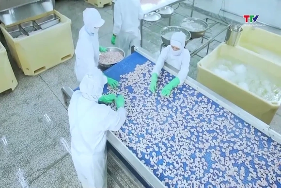 EU kiểm soát thủy sản nhập khẩu