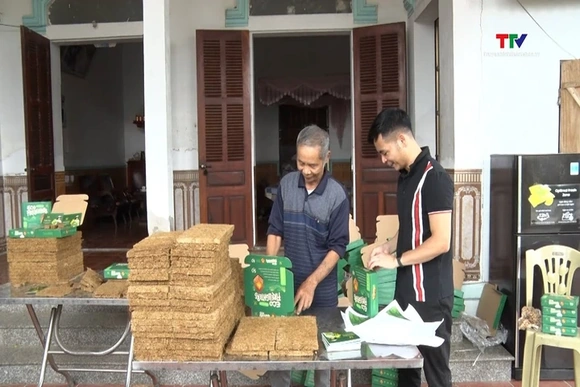 Đưa sợi rơm vàng vươn ra thế giới