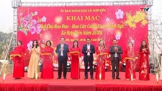 Xã Hợp Tiến khai mạc Hội chợ hoa đào, hoa cây cảnh xuân Bính Ngọ 2026