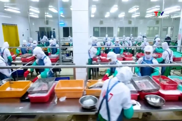 EU tăng cường kiểm soát thủy sản nhập khẩu