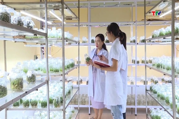 Thủ tướng chỉ thị tăng cường thực thi quyền sở hữu trí tuệ