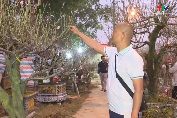 Phường Hạc Thành tổ chức 11 điểm bán hoa, cây cảnh dịp Tết