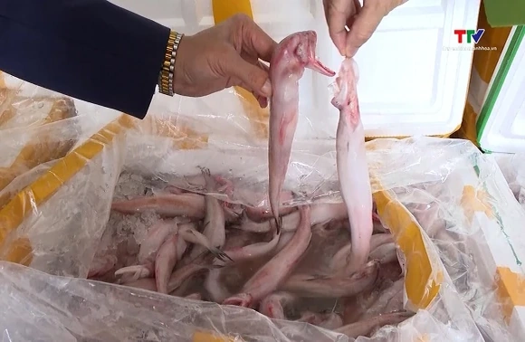 Thanh Hóa mạnh tay xử lý buôn lậu, gian lận thương mại dịp Tết