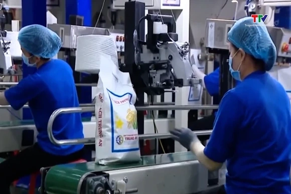 Giá gạo Việt Nam giữ vị thế cạnh tranh