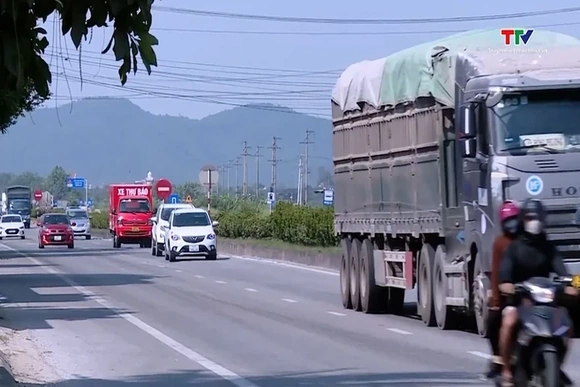 Tổ chức vận tải hành khách dịp Tết Nguyên đán