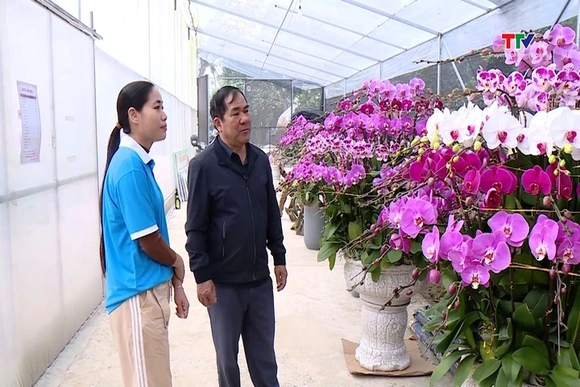 Xã Thường Xuân làm giàu từ trồng hoa lan