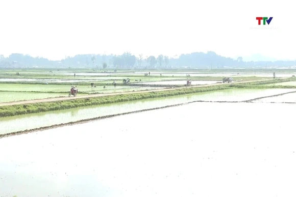 Đảm bảo nguồn nước cho cây trồng sinh trưởng phát triển